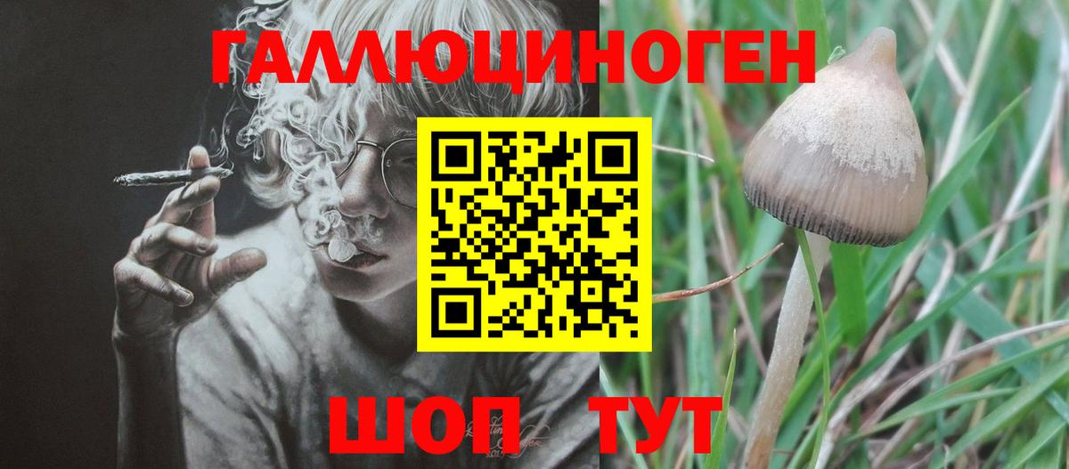 Псилоцибиновые грибы мухоморы Надым